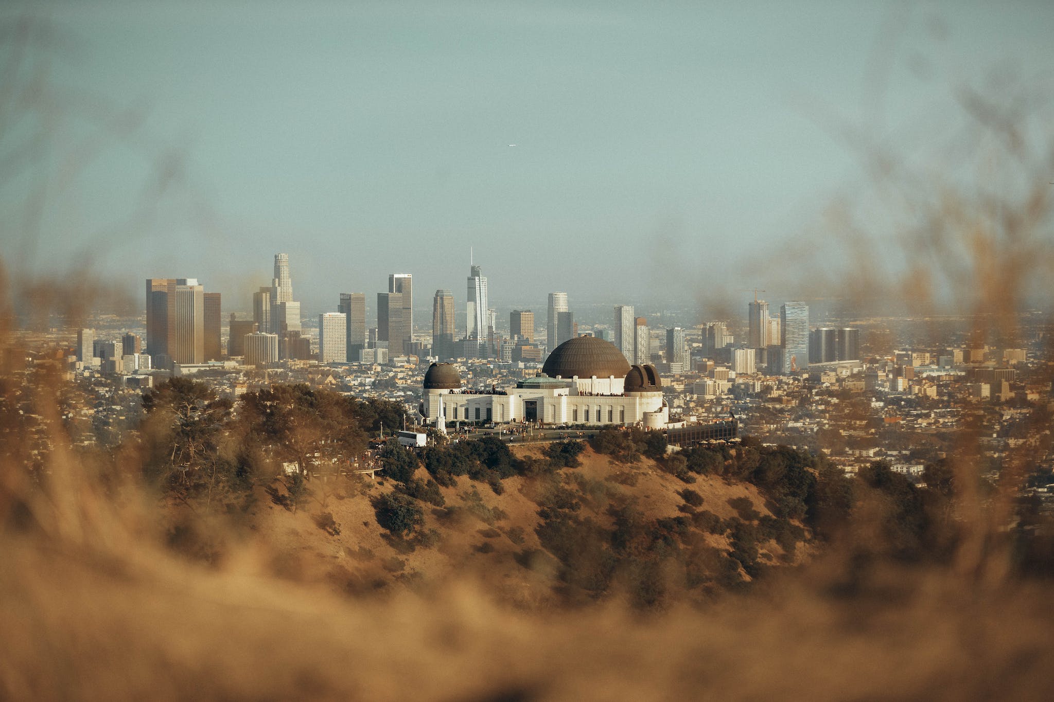 White and Brown Buildings